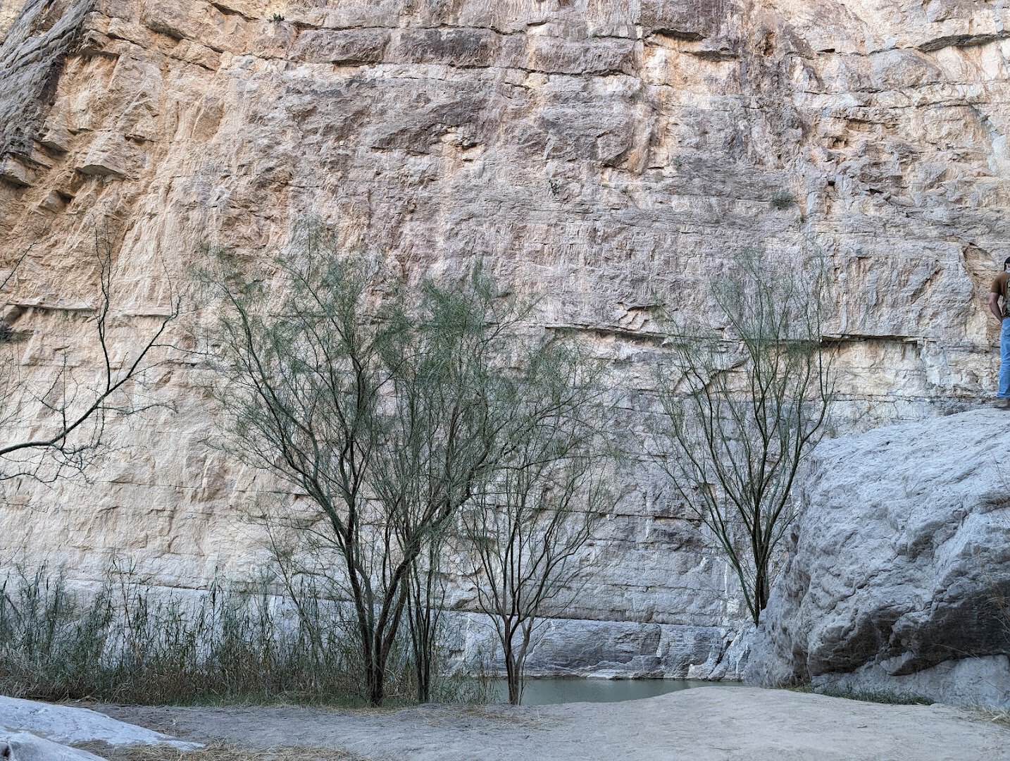 A visitor dwarfed by the towering limestone wall of Santa Elena Canyon