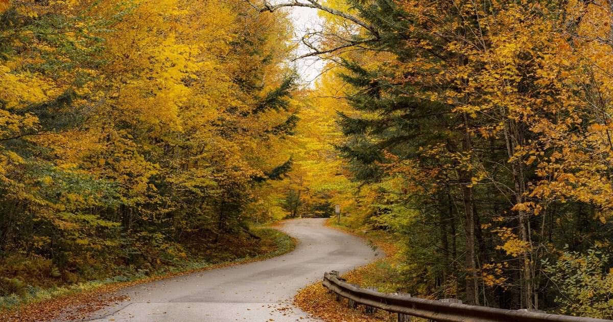 12 Scenic Fall Drives Across America for Leaf-Peeping Season