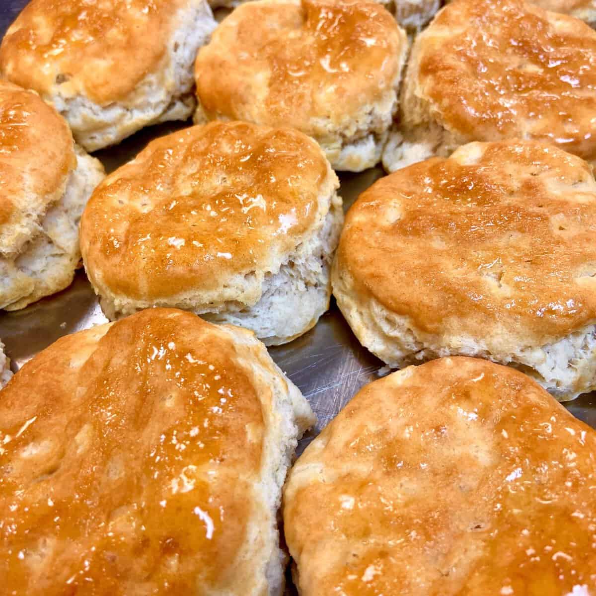 Fresh golden biscuits at Schobels' Restaurant in Columbus, Texas