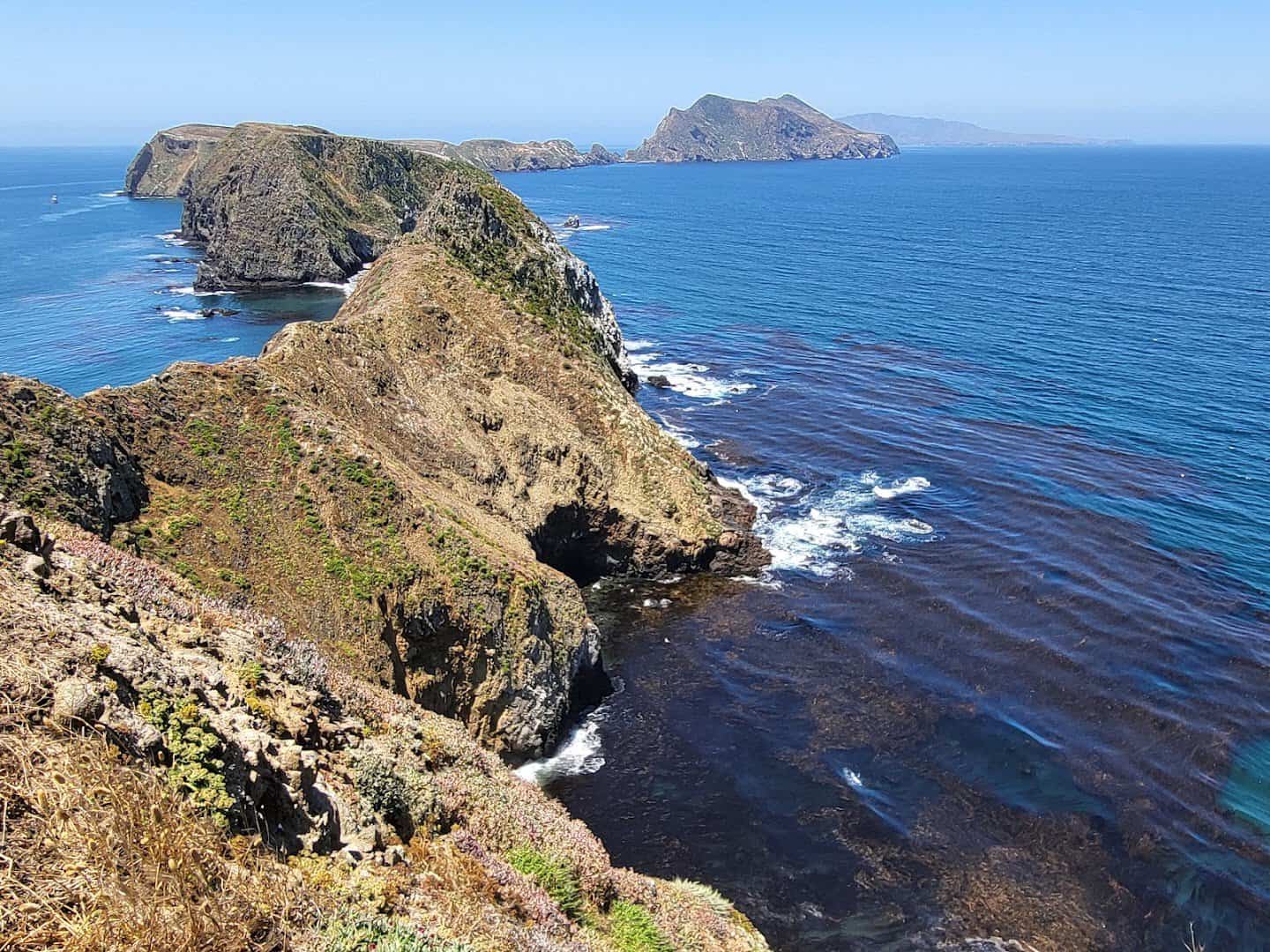 Rugged green sea cliffs dropping to the deep blue Pacific at Channel Islands National Park, California