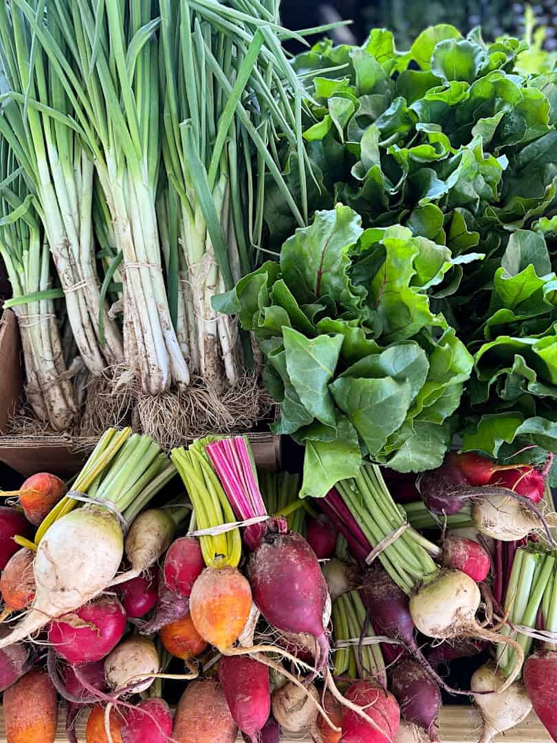 Fresh green onions, chard and rainbow beets at the Dallas Farmers Market