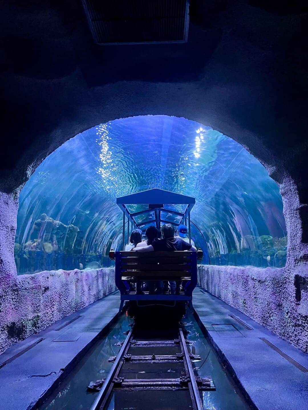 The Shark Voyage train passing through the underwater shark tank tunnel at the Downtown Aquarium in Houston