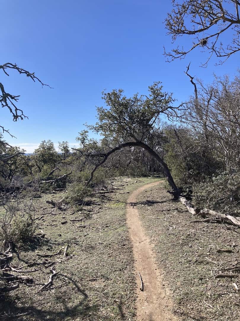 Singletrack trail winding through Hill Country brush at Flat Rock Ranch