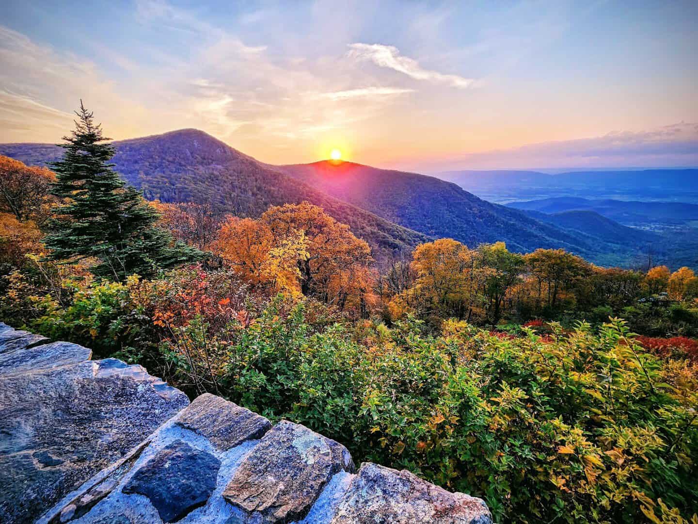 Sunset over fall foliage along Skyline Drive in Shenandoah National Park Virginia