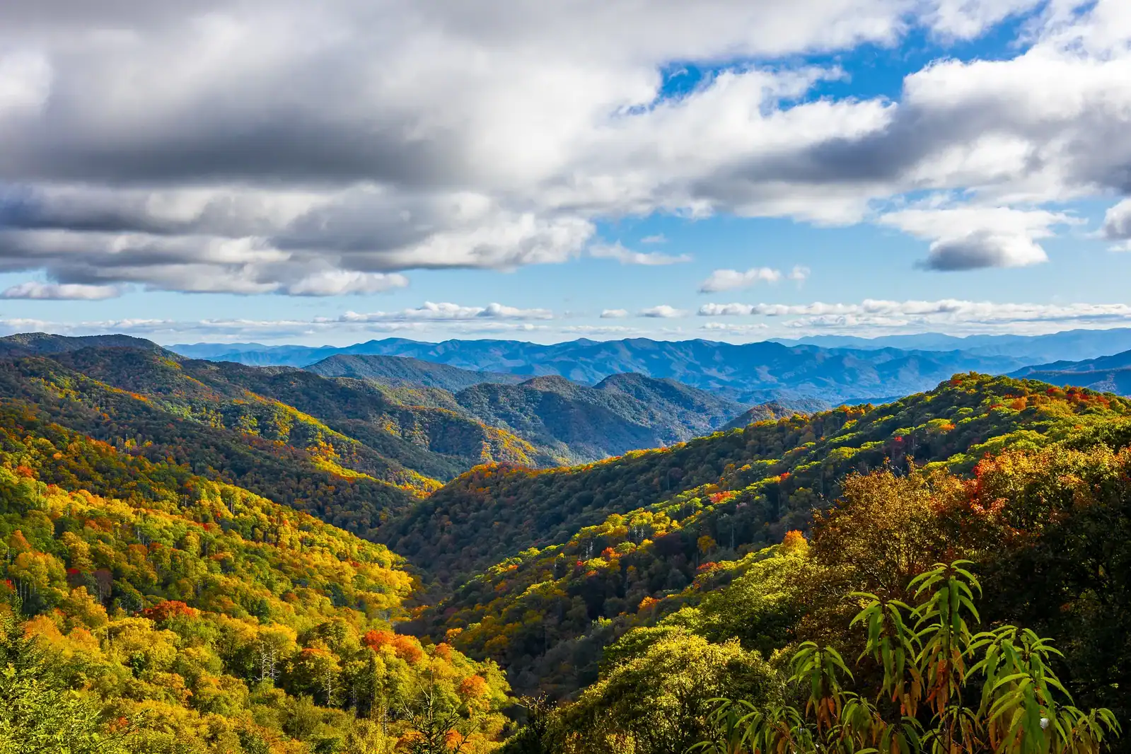 Fall color across the Great Smoky Mountains ridges near Gatlinburg, Tennessee