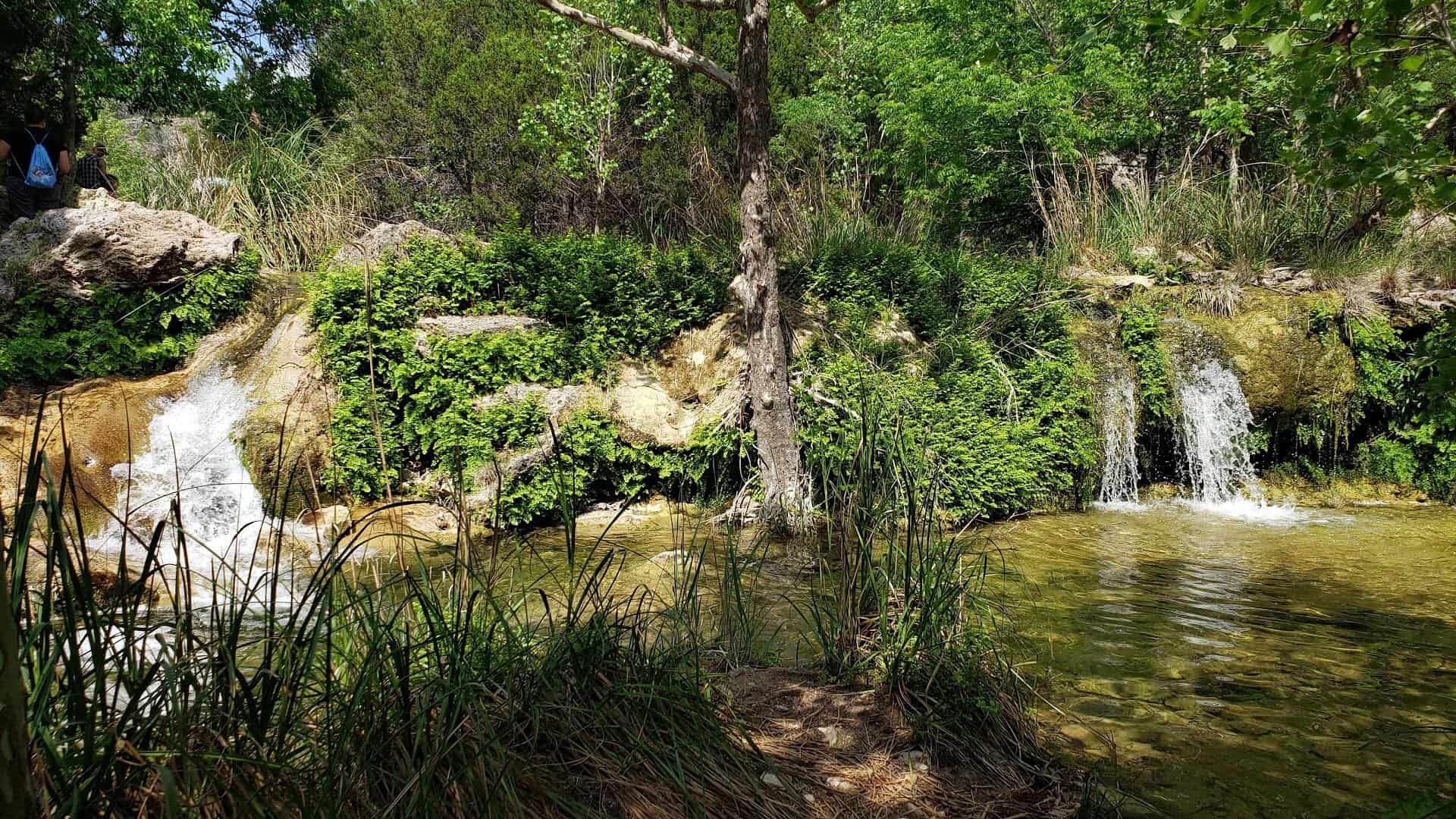 Emerald spring-fed pools along the Spicewood Springs Trail at Colorado Bend State Park