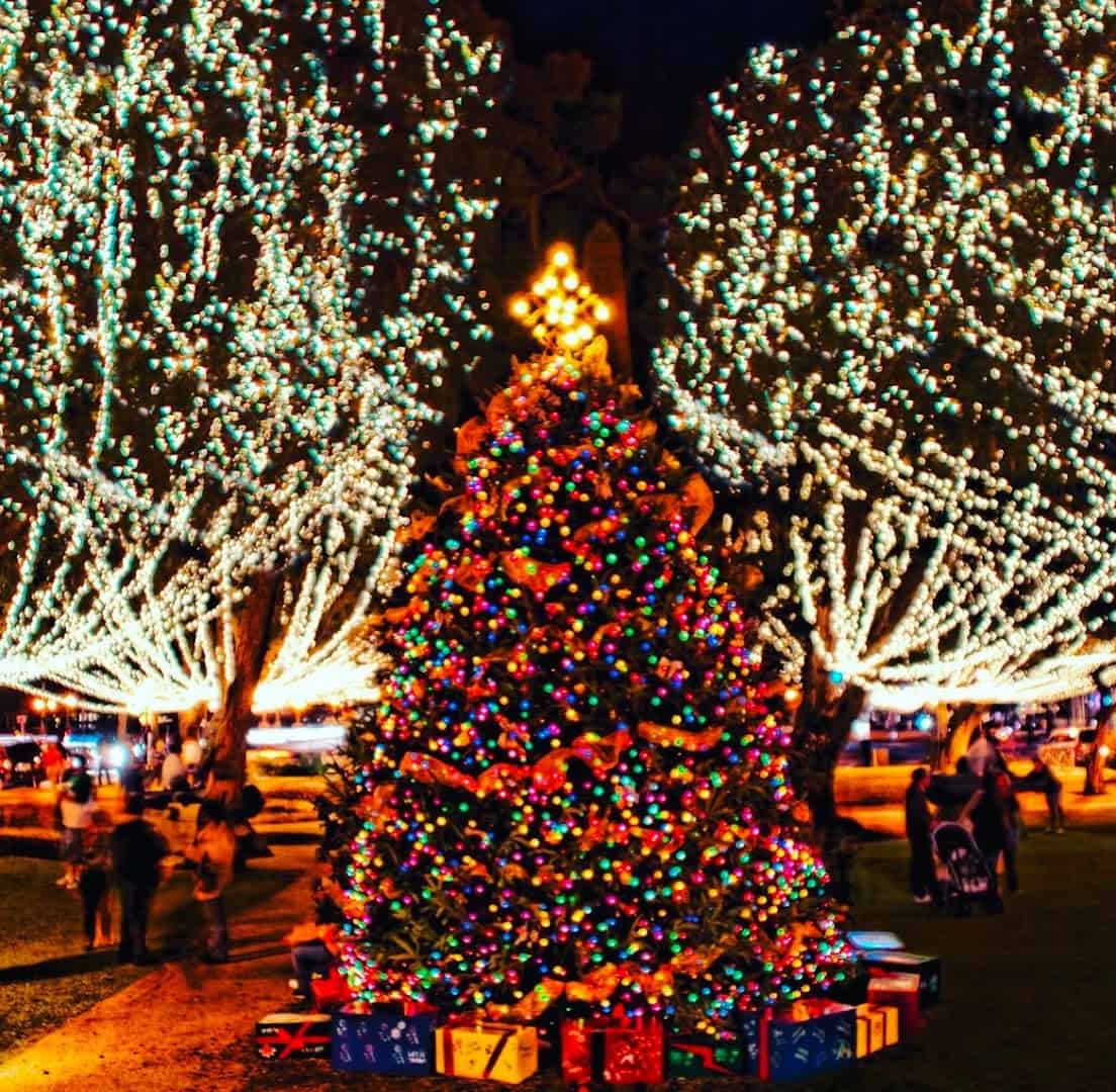 Lit Christmas tree during Nights of Lights in St. Augustine, Florida