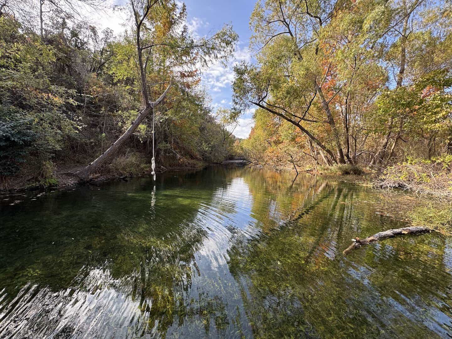 Clear green swimming hole with a rope swing on Bull Creek at St. Edwards Park in Austin