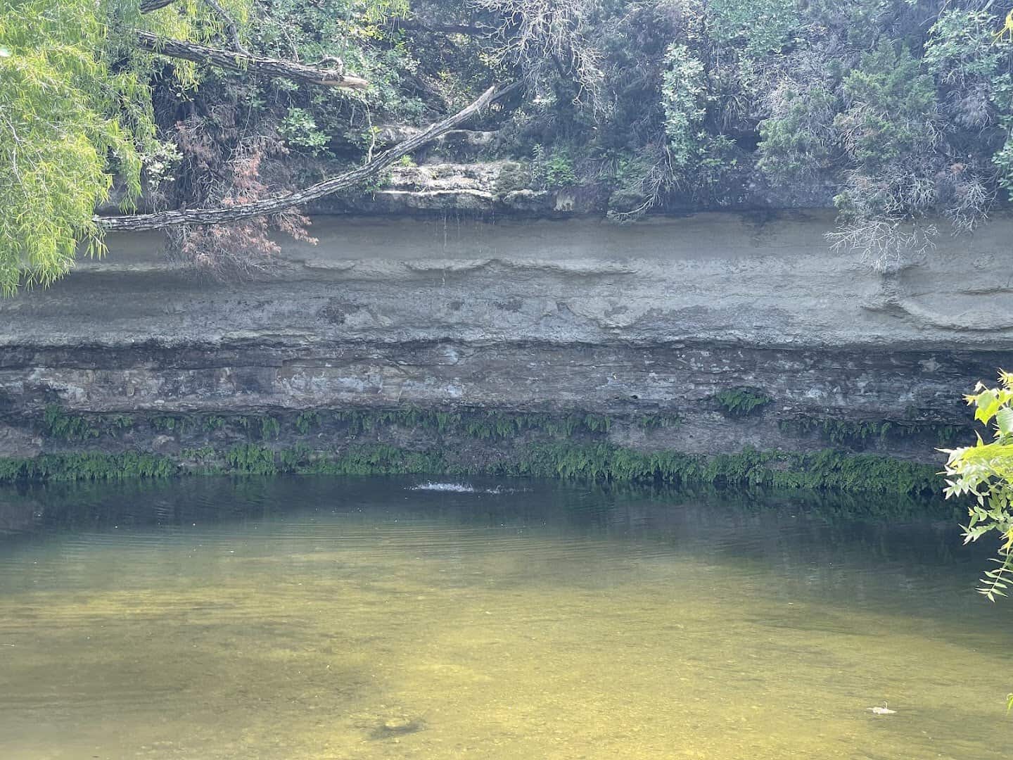 Layered limestone cliff streaked with moss above Bull Creek at St. Edwards Park in Austin