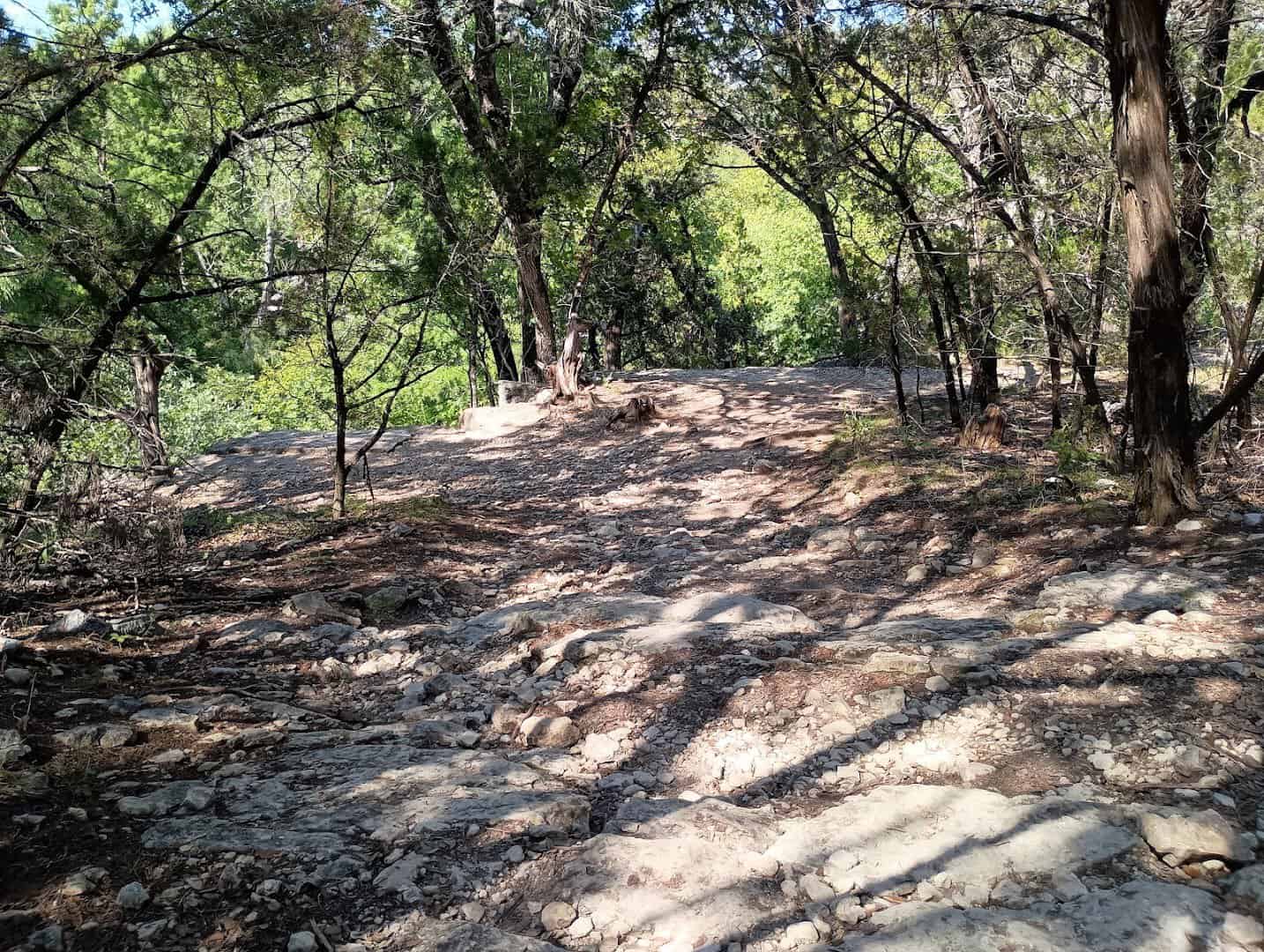 Rocky limestone trail through oak-juniper woods at St. Edwards Park in Austin