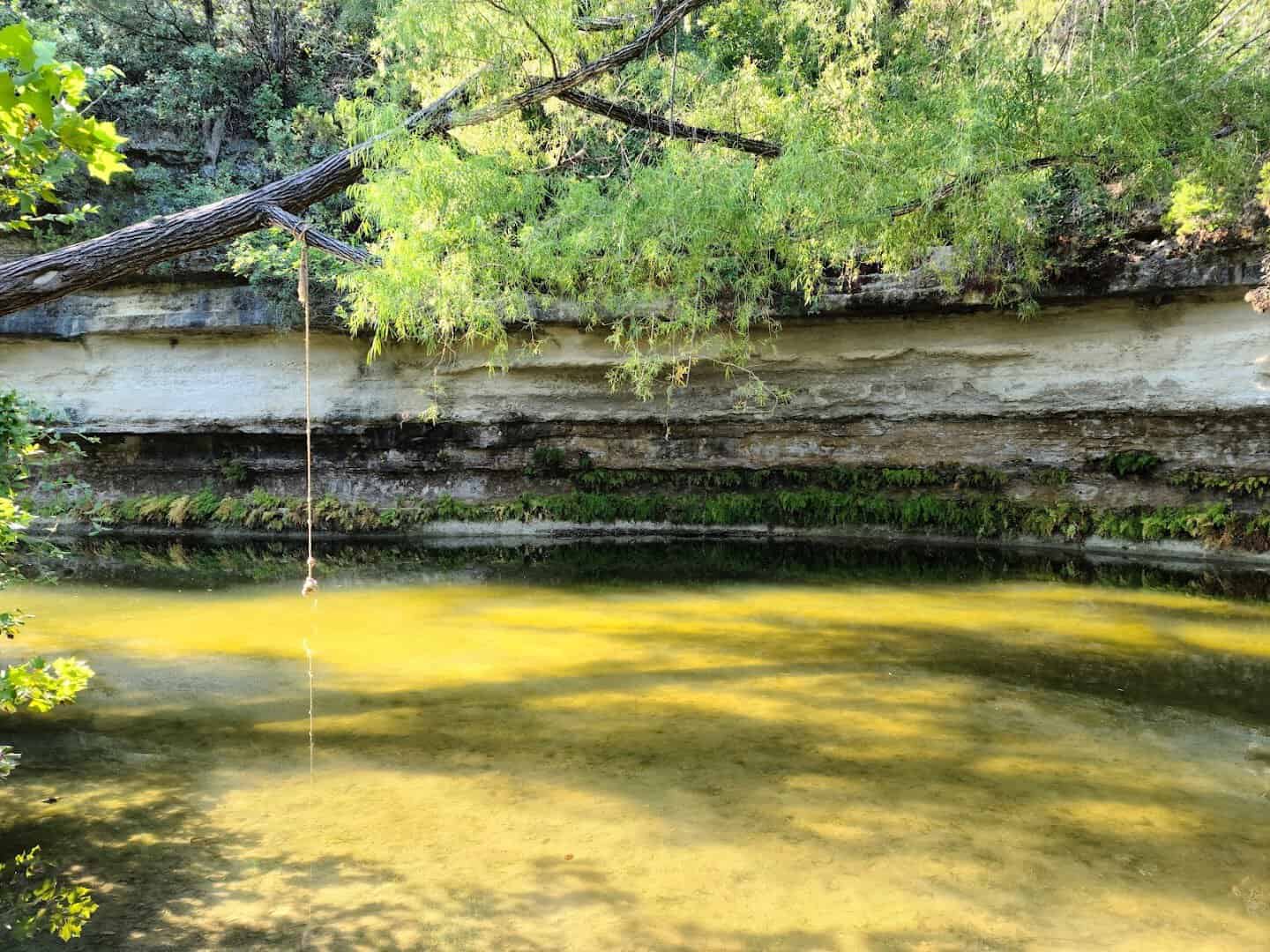 Rope swing over a green pool below a limestone ledge at St. Edwards Park in Austin