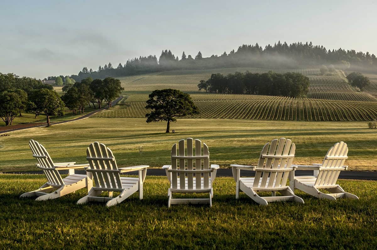 Chairs overlooking misty vineyard rows at Stoller Family Estate in the Willamette Valley, Oregon