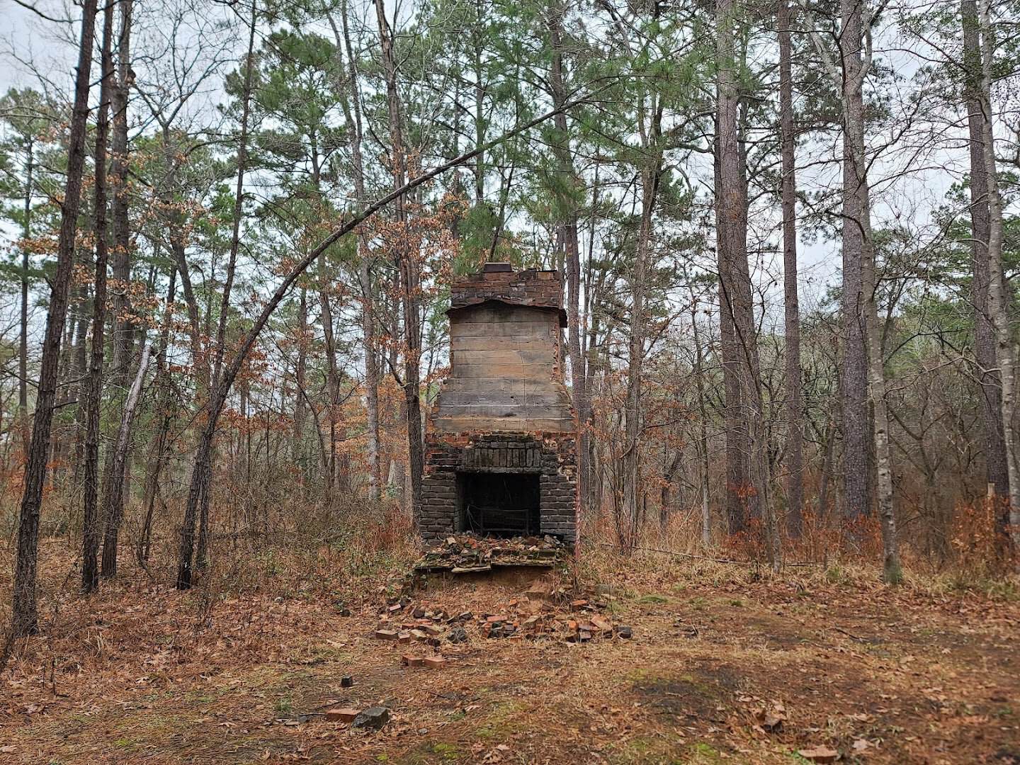 Old stone chimney standing in the woods at Mission Tejas State Park