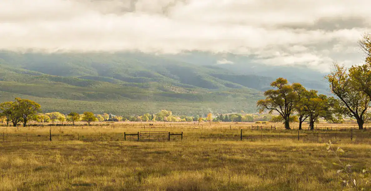 Golden autumn cottonwoods below the Sangre de Cristo Mountains near Taos, New Mexico