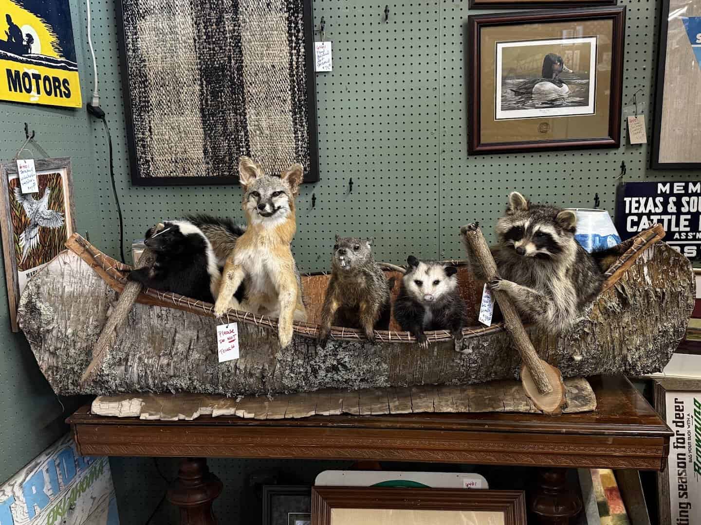 Quirky taxidermy display in a canoe at a Fort Worth antique mall booth