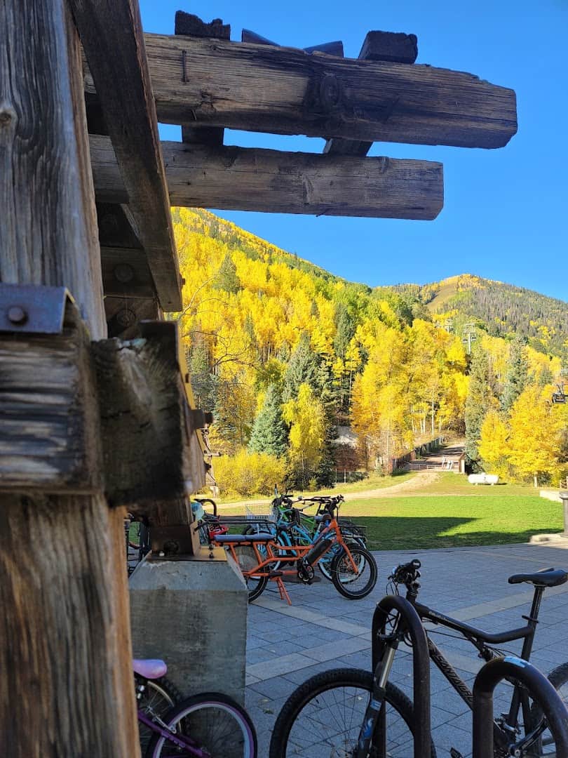 Golden aspen trees on the mountainside above Telluride, Colorado