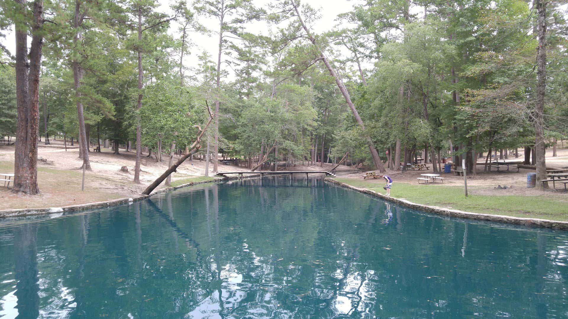 Spring-fed swimming pond framed by pines at Camp Tonkawa Springs, Texas