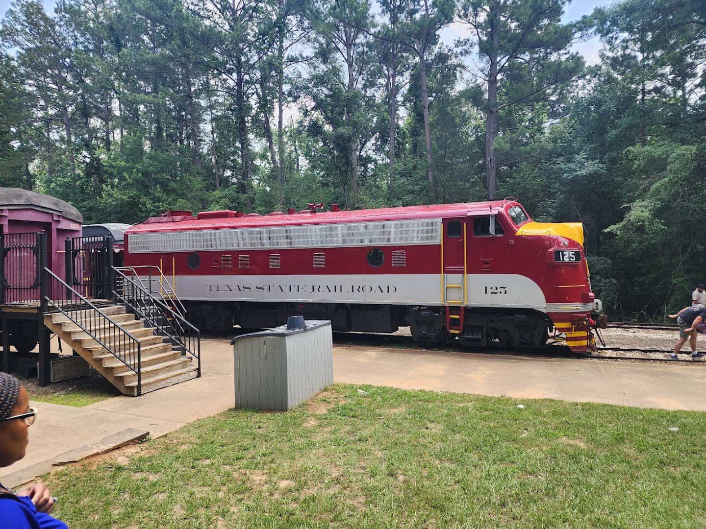 Maroon Texas State Railroad train rolling through the East Texas pine forest
