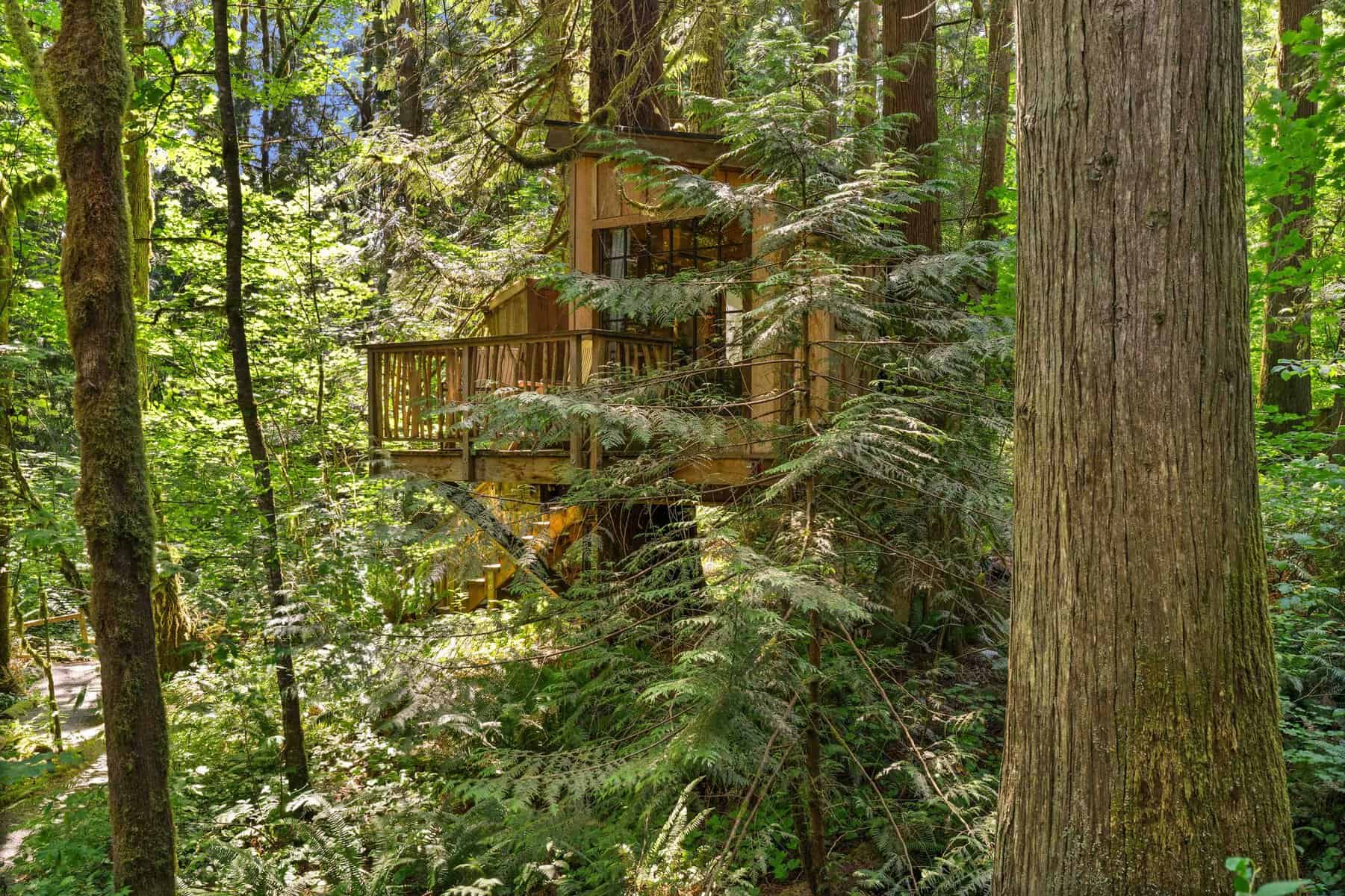 TreeHouse Point treehouse among Douglas firs in Fall City, Washington