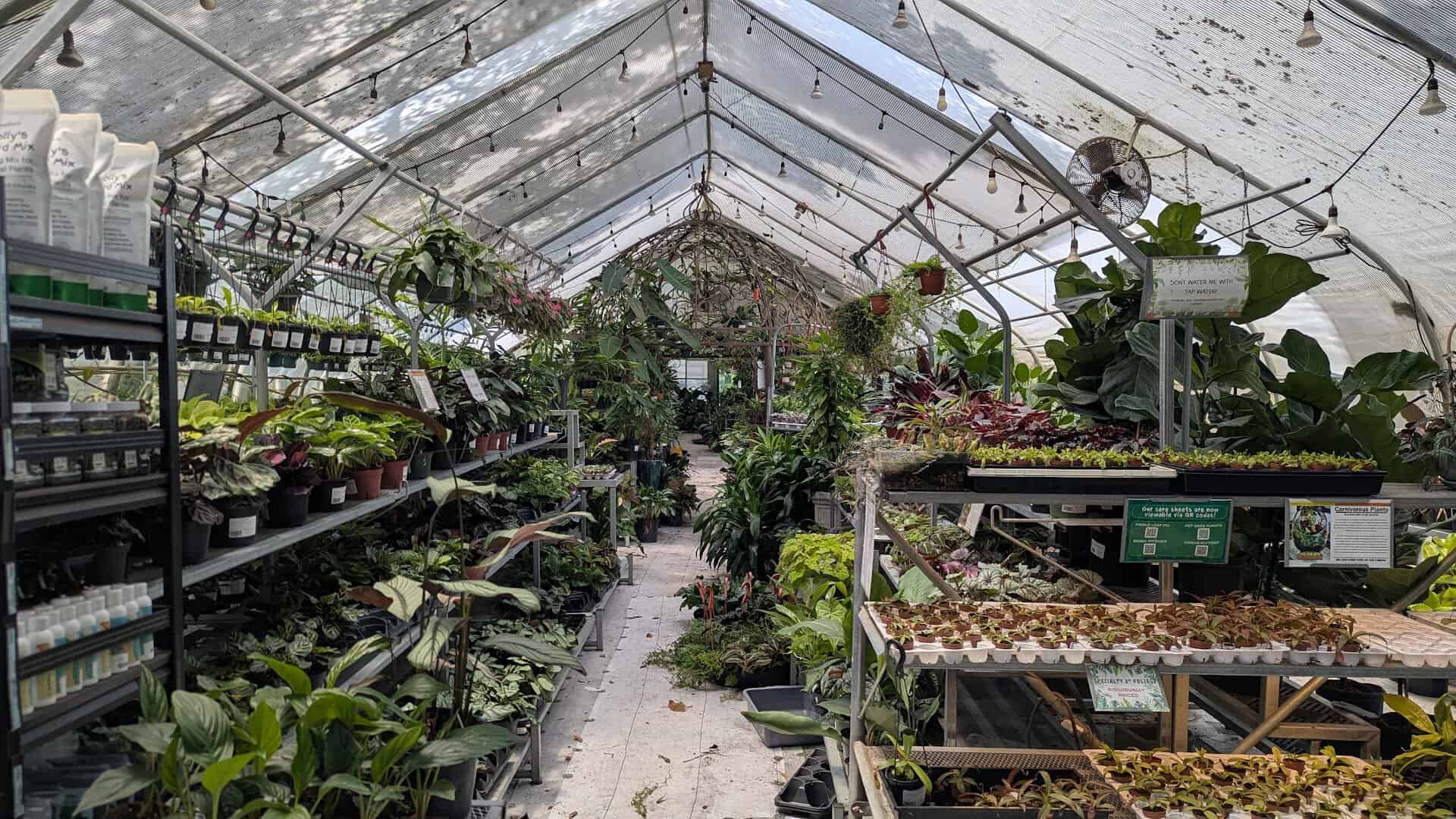 Inside the tropical greenhouse at The Great Outdoors nursery in Austin, Texas
