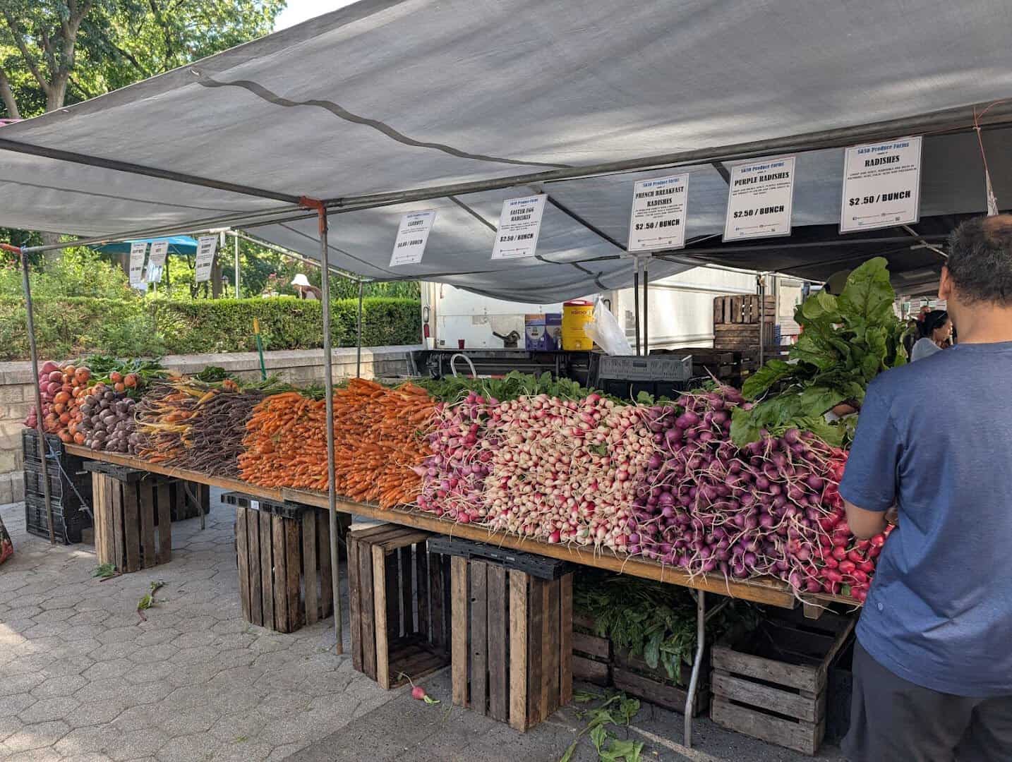 Tables of fresh produce at the Union Square Greenmarket in New York