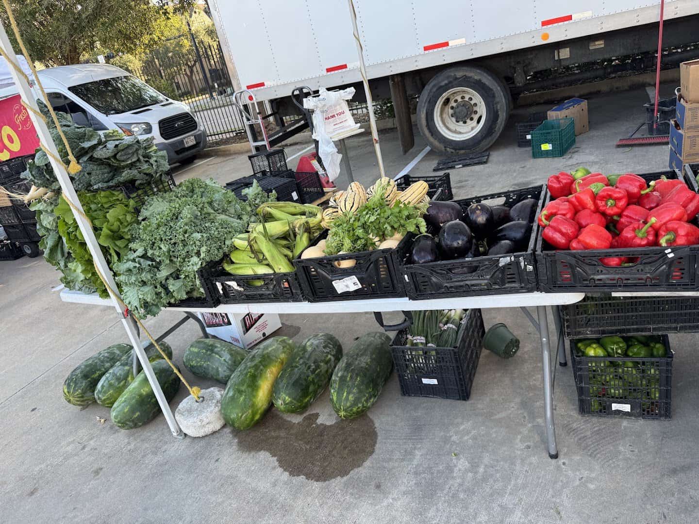 Tables of fresh greens, peppers and squash at a produce stall at Urban Harvest Farmers Market