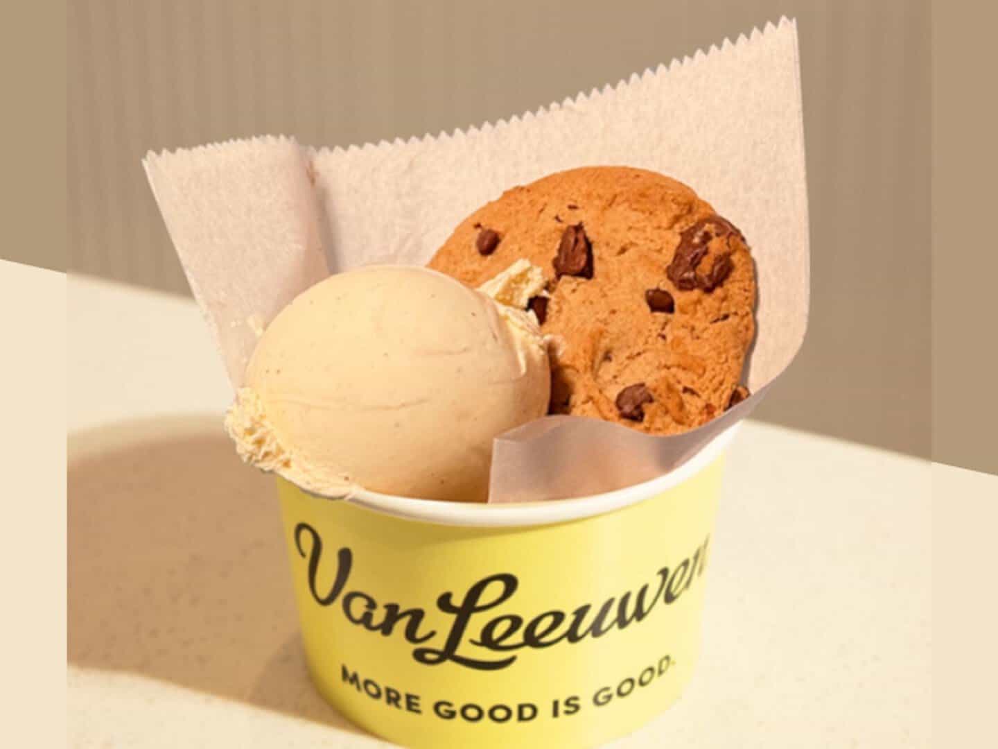 Cup of ice cream with a chocolate chip cookie at Van Leeuwen in New York