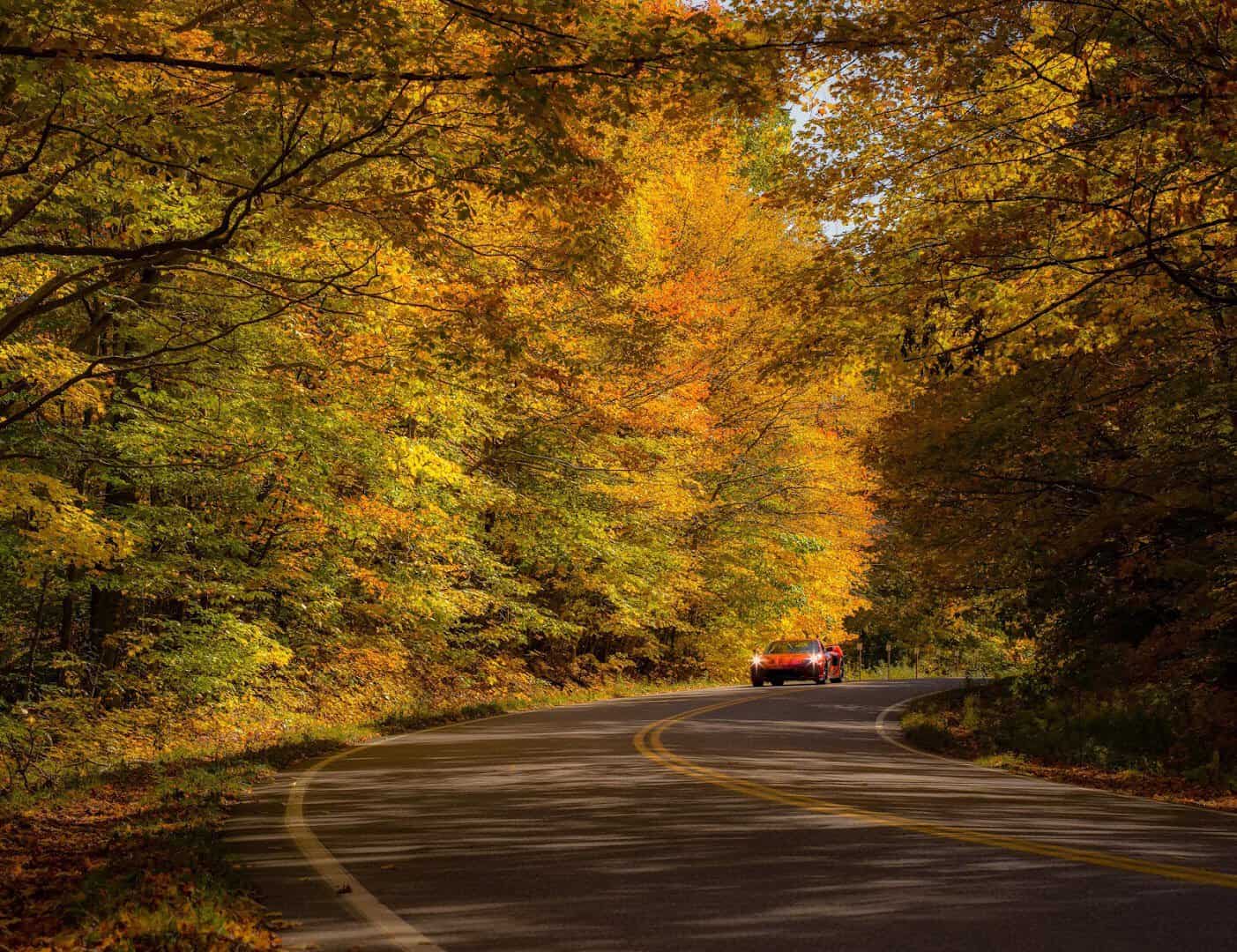Car driving Vermont Route 100 through golden fall foliage