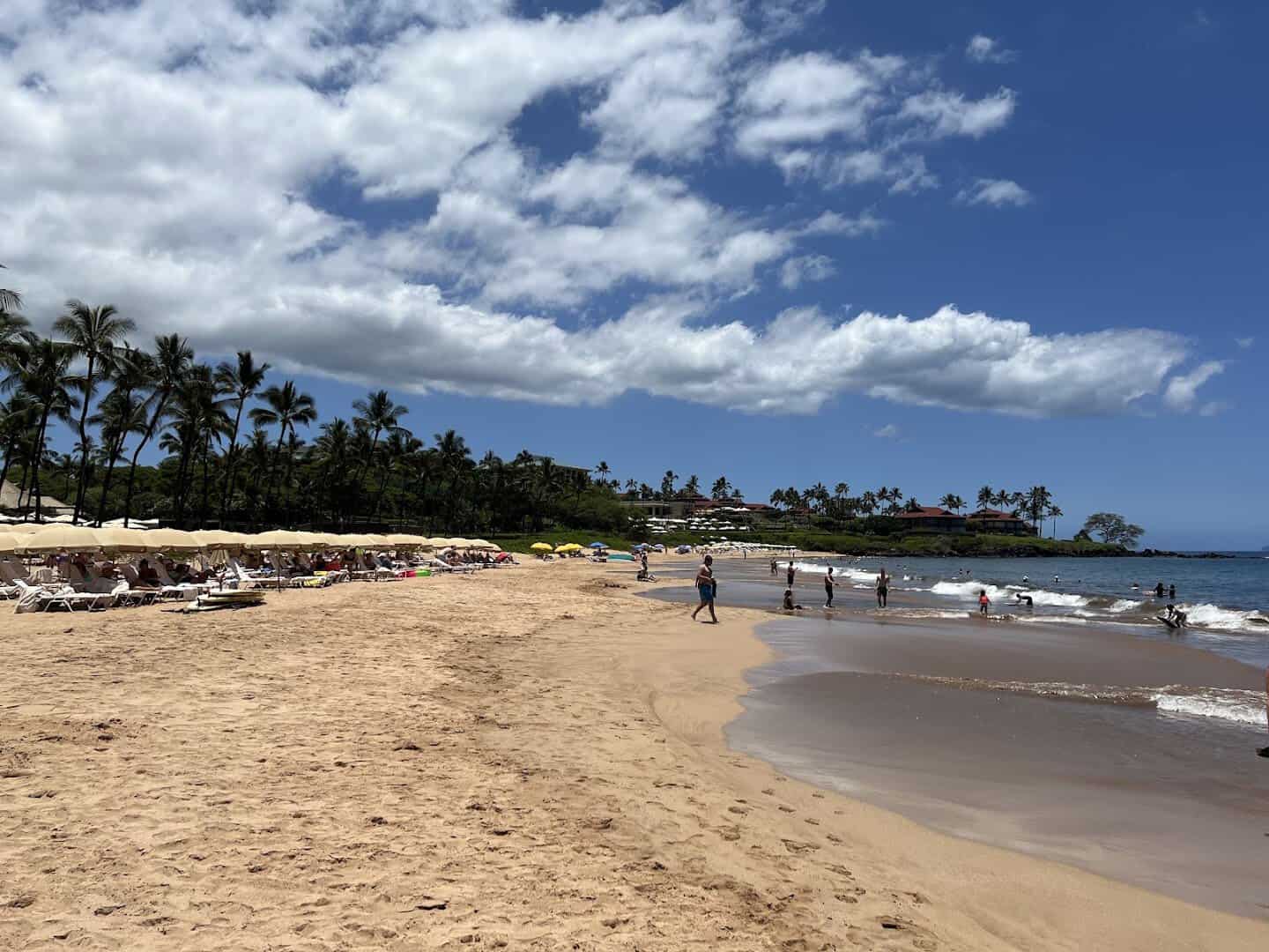 Golden sand and palms along Wailea Beach in Wailea, Maui, Hawaii