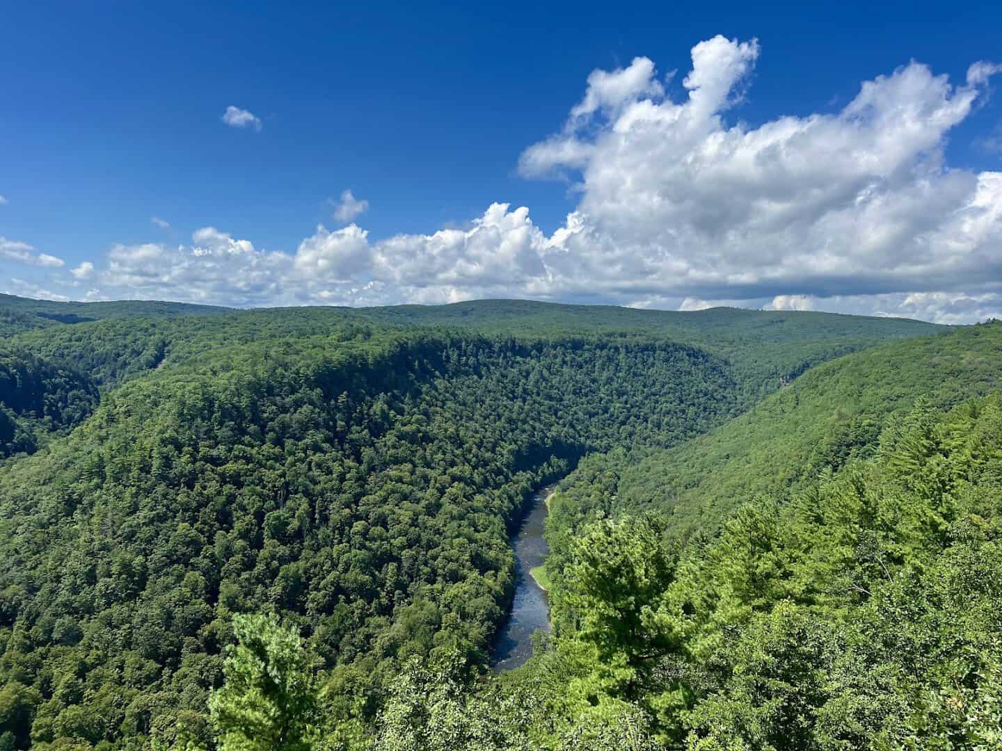 The Pennsylvania Grand Canyon gorge near Wellsboro, Pennsylvania