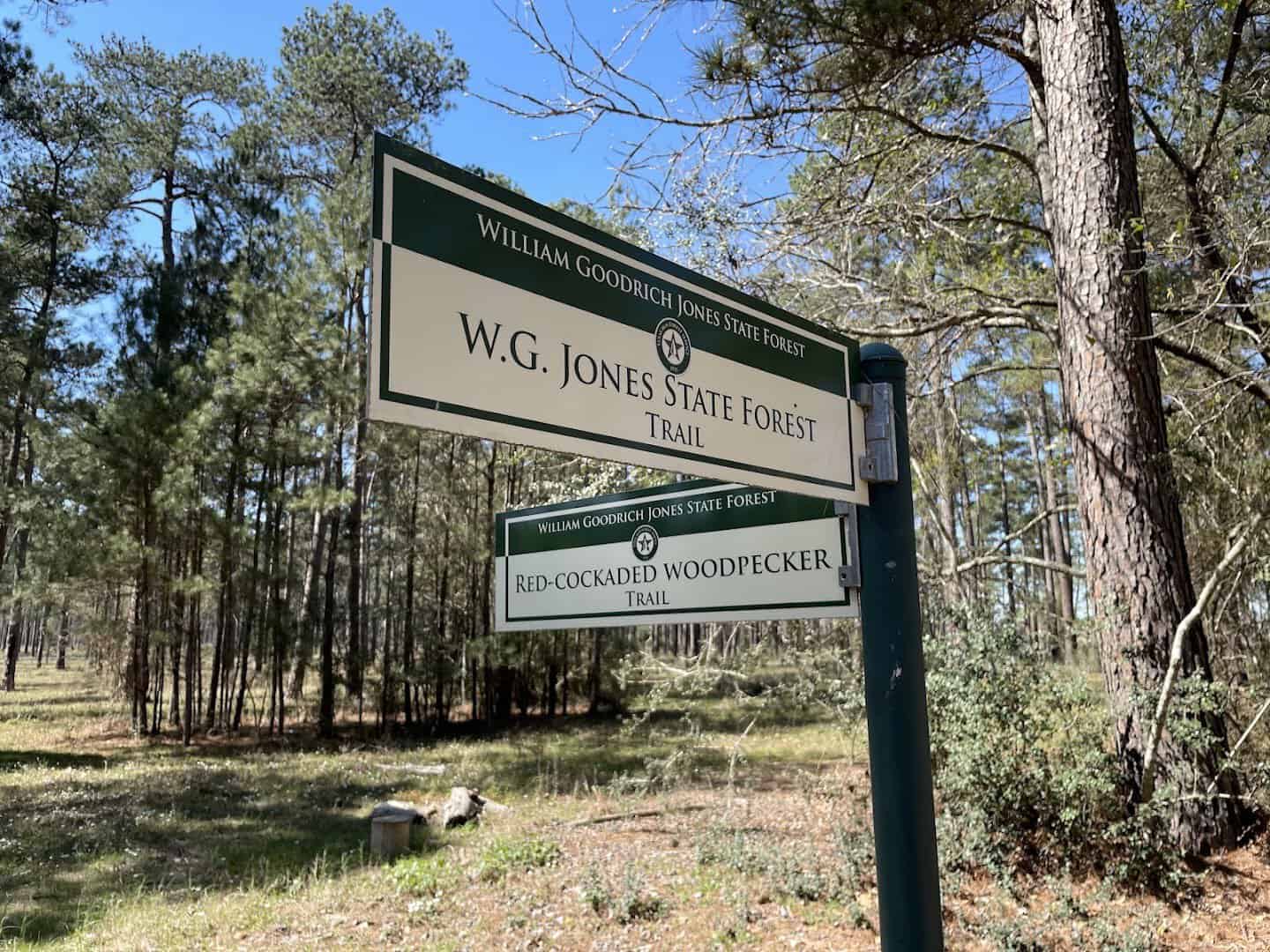 W.G. Jones State Forest entrance sign near Conroe, Texas
