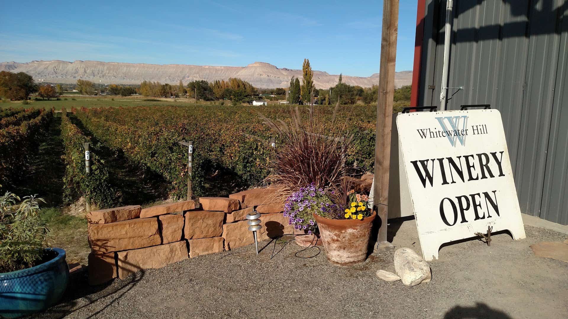 Whitewater Hill Vineyards fall vineyard rows below the Colorado National Monument mesas