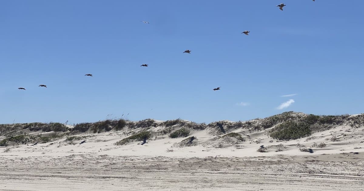 This Untouched Texas Barrier Island Is Five Miles of Wild Gulf Beach Where You Can Camp on the Sand