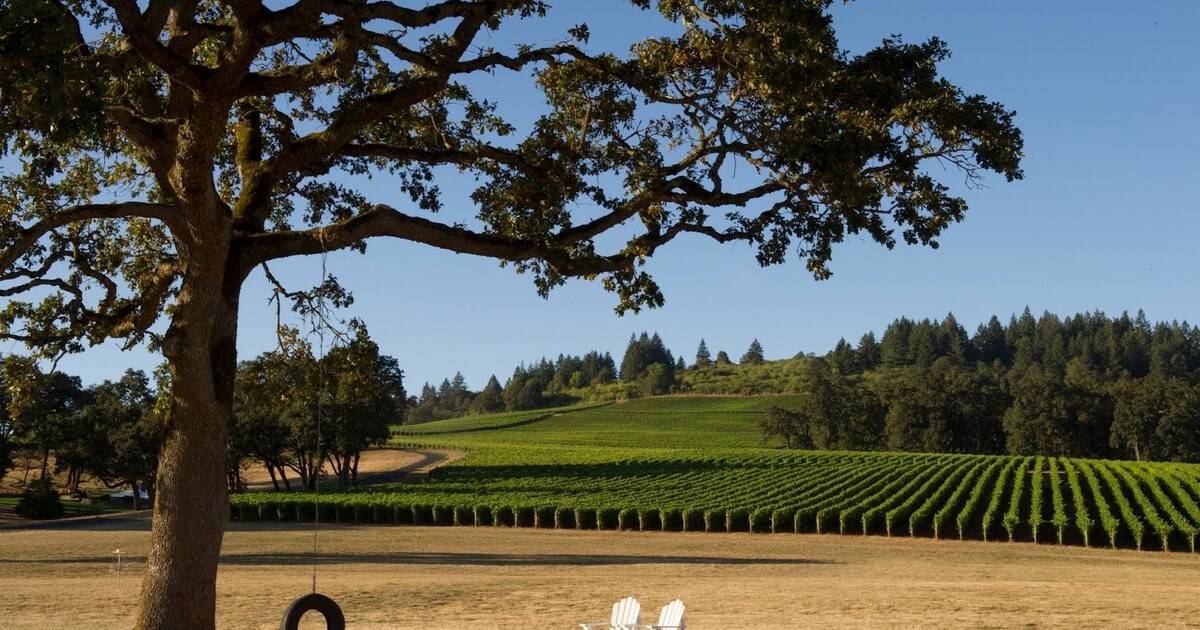 10 Girls Weekend Getaways for Wine Lovers