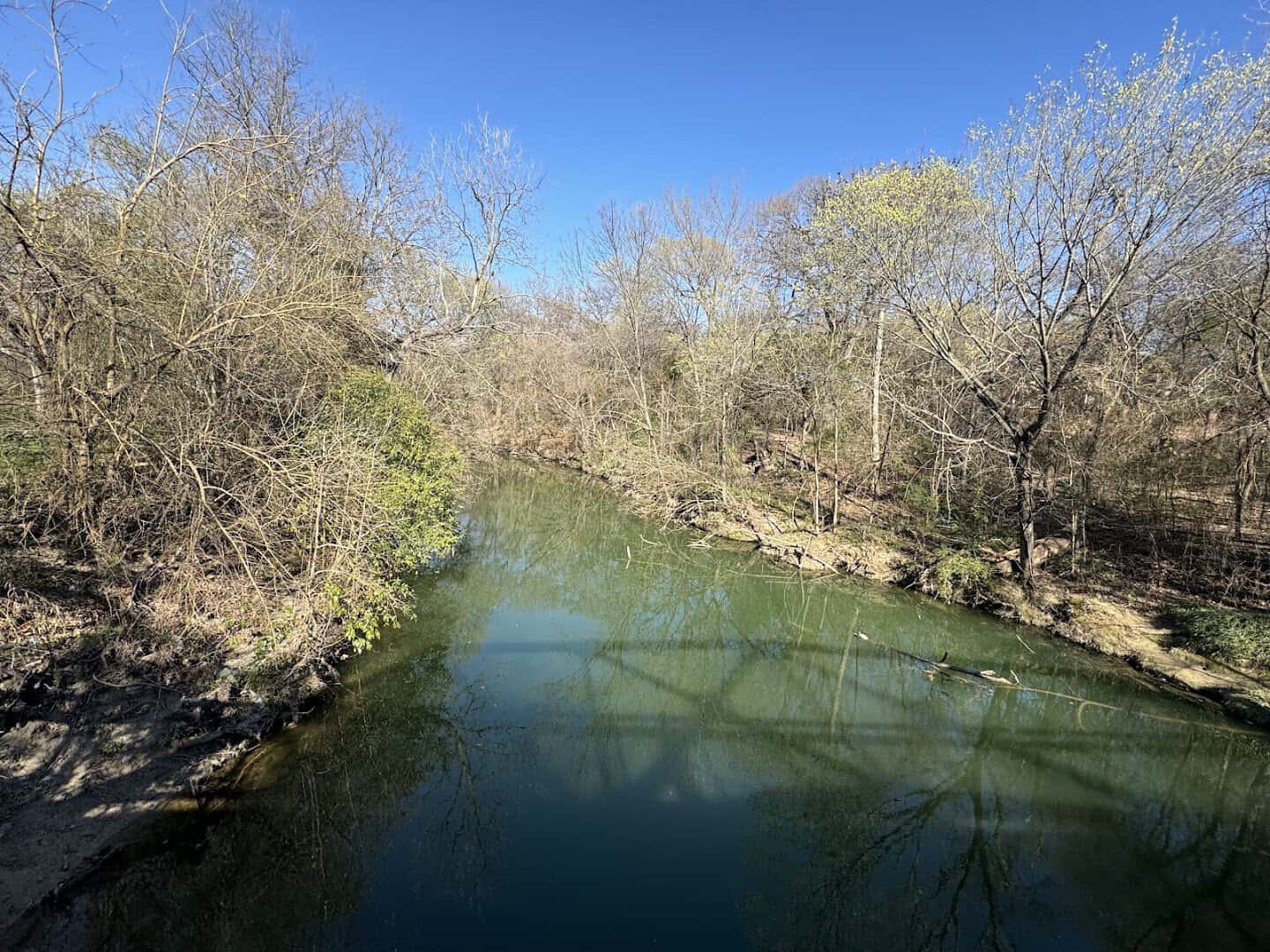 Tree-lined creek running through the greenbelt at Prairie Creek Park in Richardson, Texas