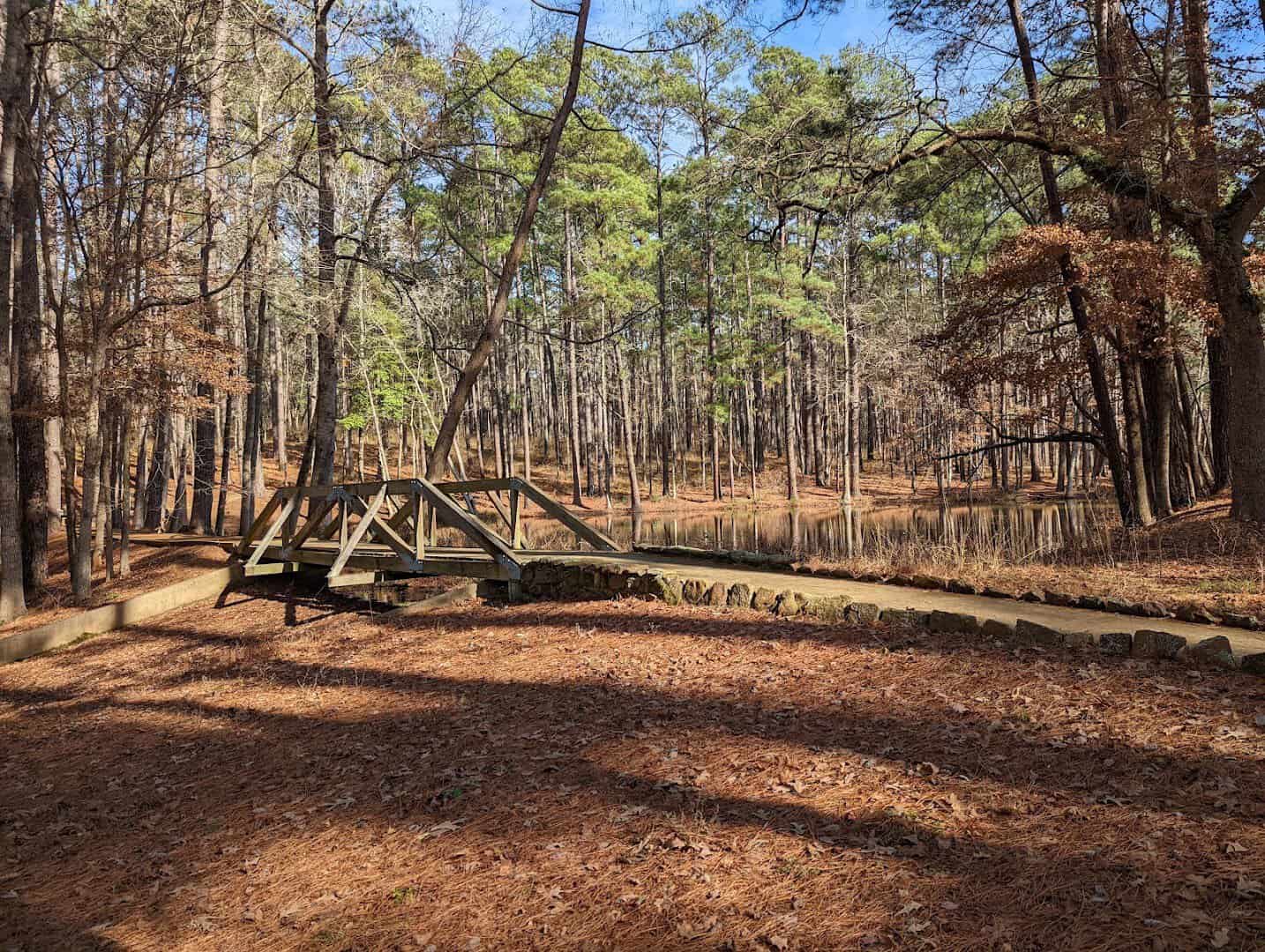 Wooden footbridge on a forest trail at Mission Tejas State Park