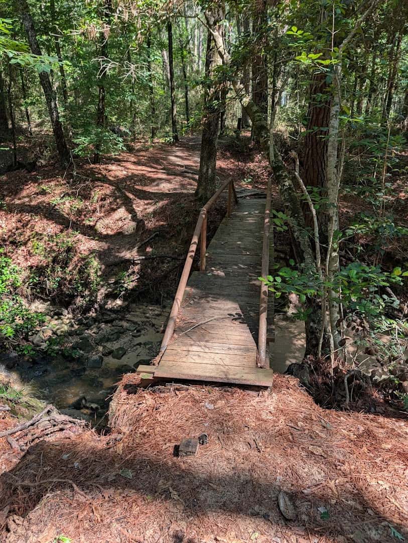 A wooden footbridge crossing a creek deep in the woods at W.G. Jones State Forest near Conroe, Texas