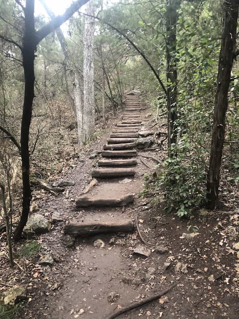 Wooden steps climbing through the woods on River Place Nature Trail in Austin, Texas