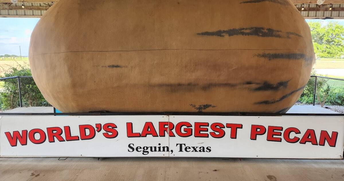 This Charming Small Texas Town Guards the World’s Largest Pecan and the State’s Best Barbecue