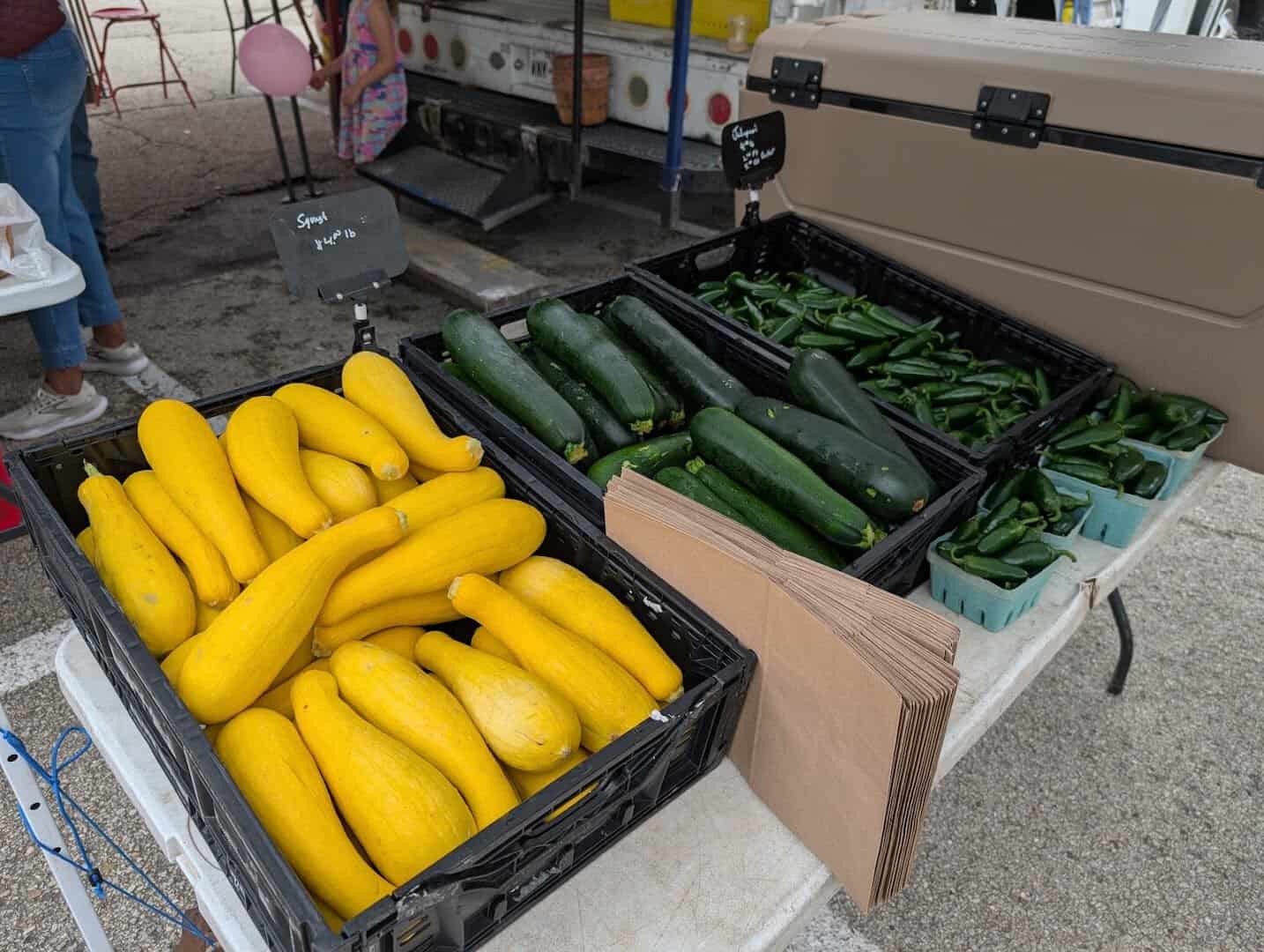 Crates of yellow squash and zucchini at Barton Creek Farmers Market in Austin, Texas