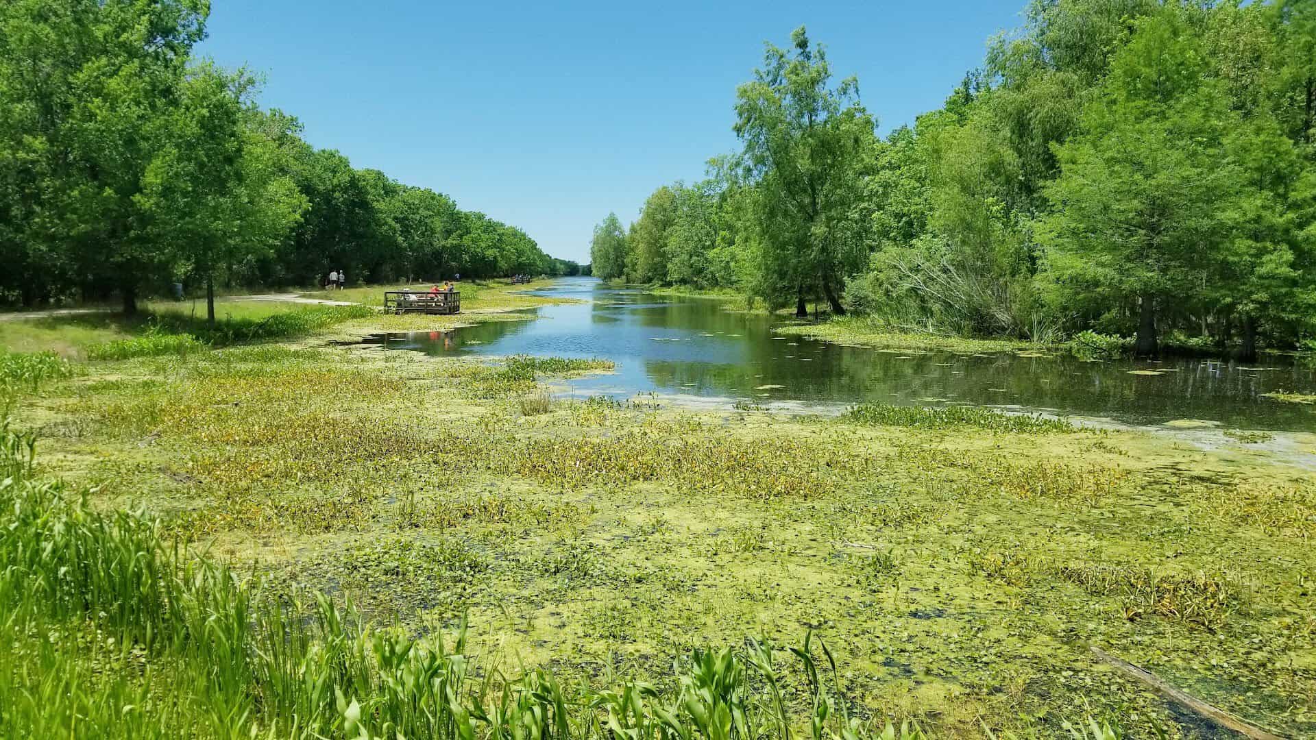 Flat shoreline path beside calm water on the 40-Acre Lake Trail at Brazos Bend State Park in Needville