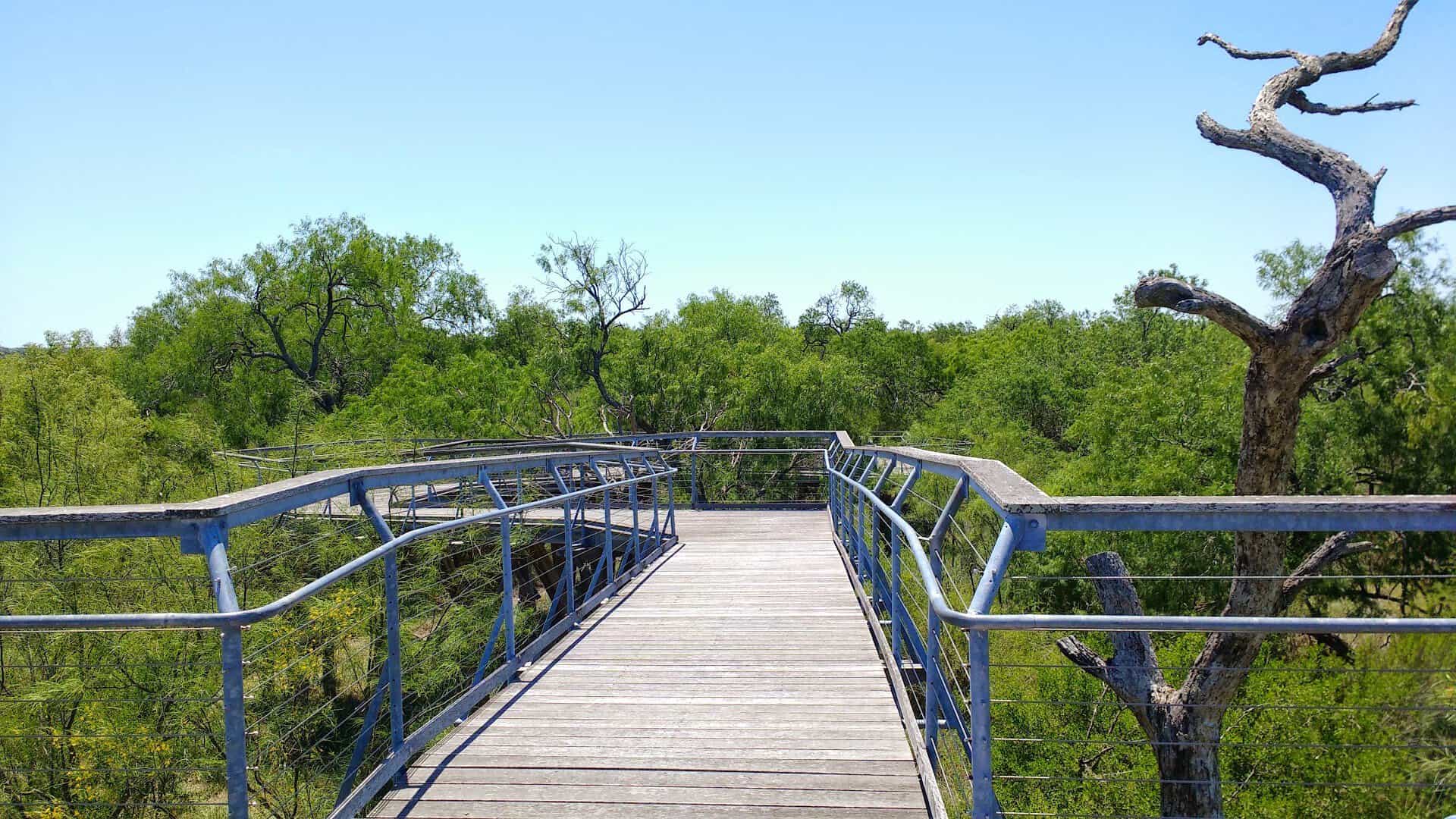 An accessible elevated boardwalk trail at Bentsen-Rio Grande Valley State Park