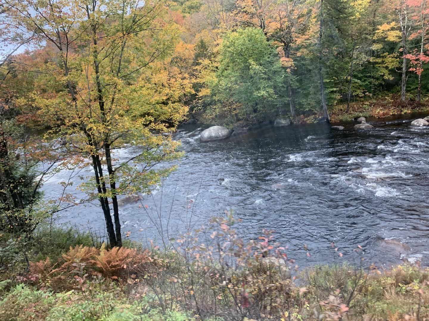 Adirondack Railroad passenger car with vivid fall foliage, New York