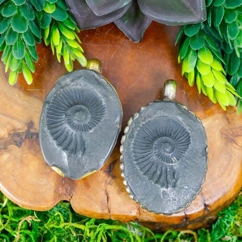 Ammonite fossil pendants sold at Nature's Treasures in Austin