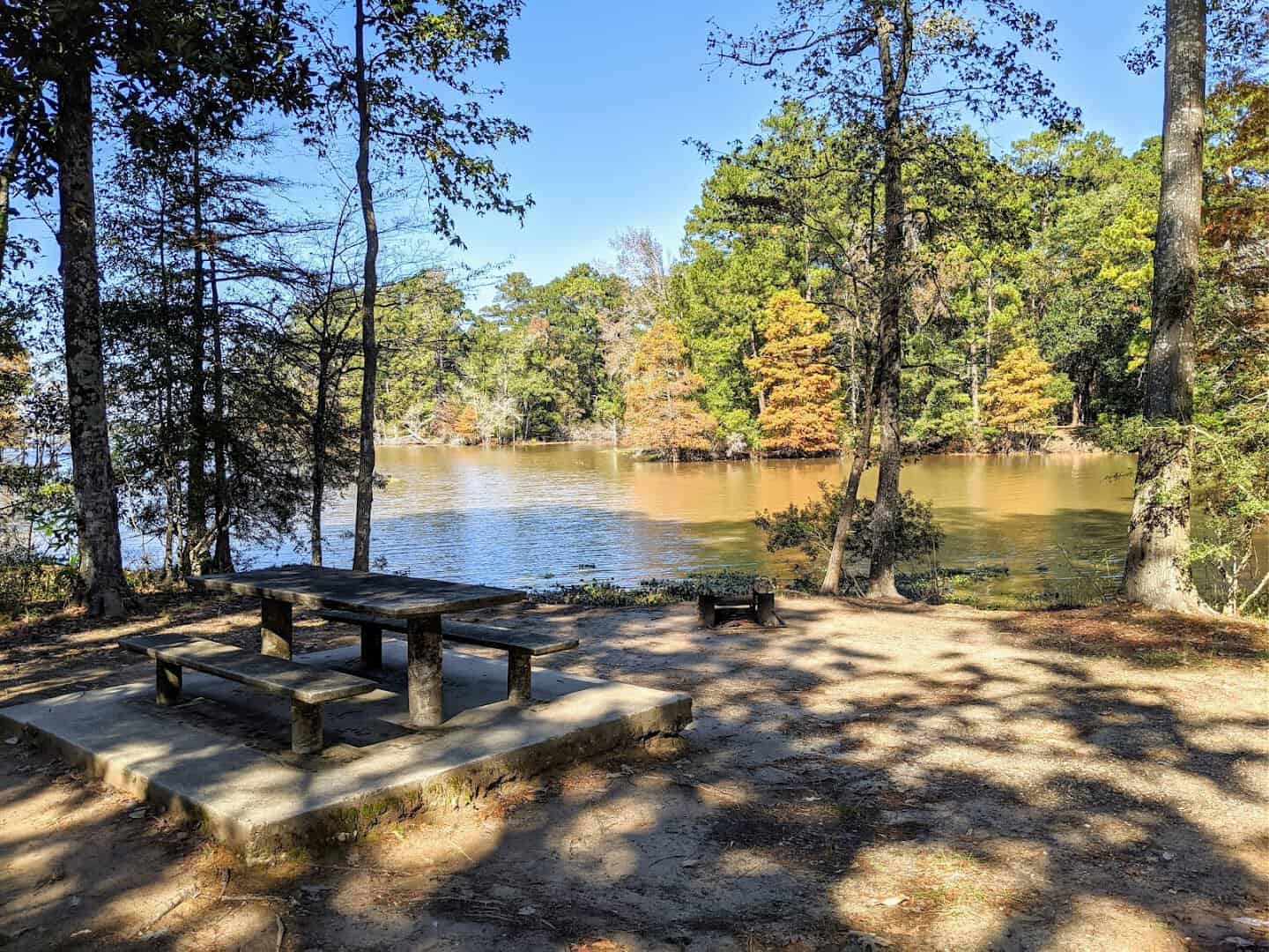 Autumn color along the lakeshore at Martin Dies Jr State Park