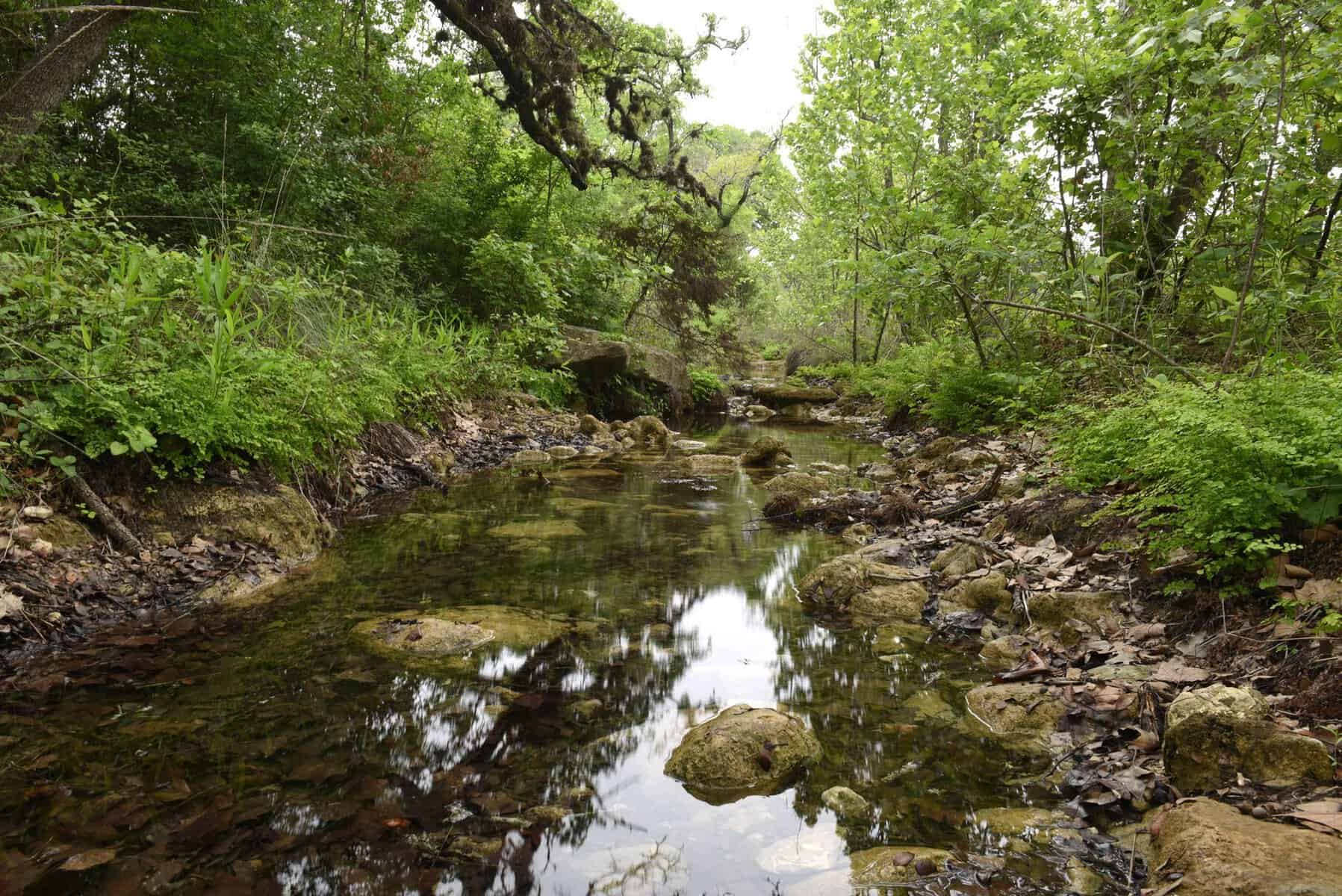 Creek along the Post Oak Loop at Balcones Canyonlands National Wildlife Refuge
