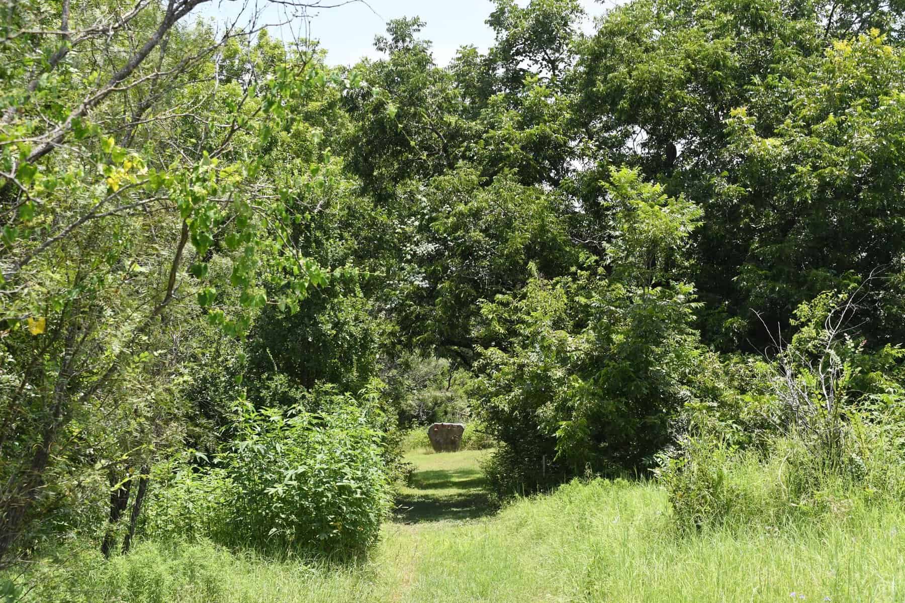 Juniper and oak woodland at Balcones Canyonlands National Wildlife Refuge