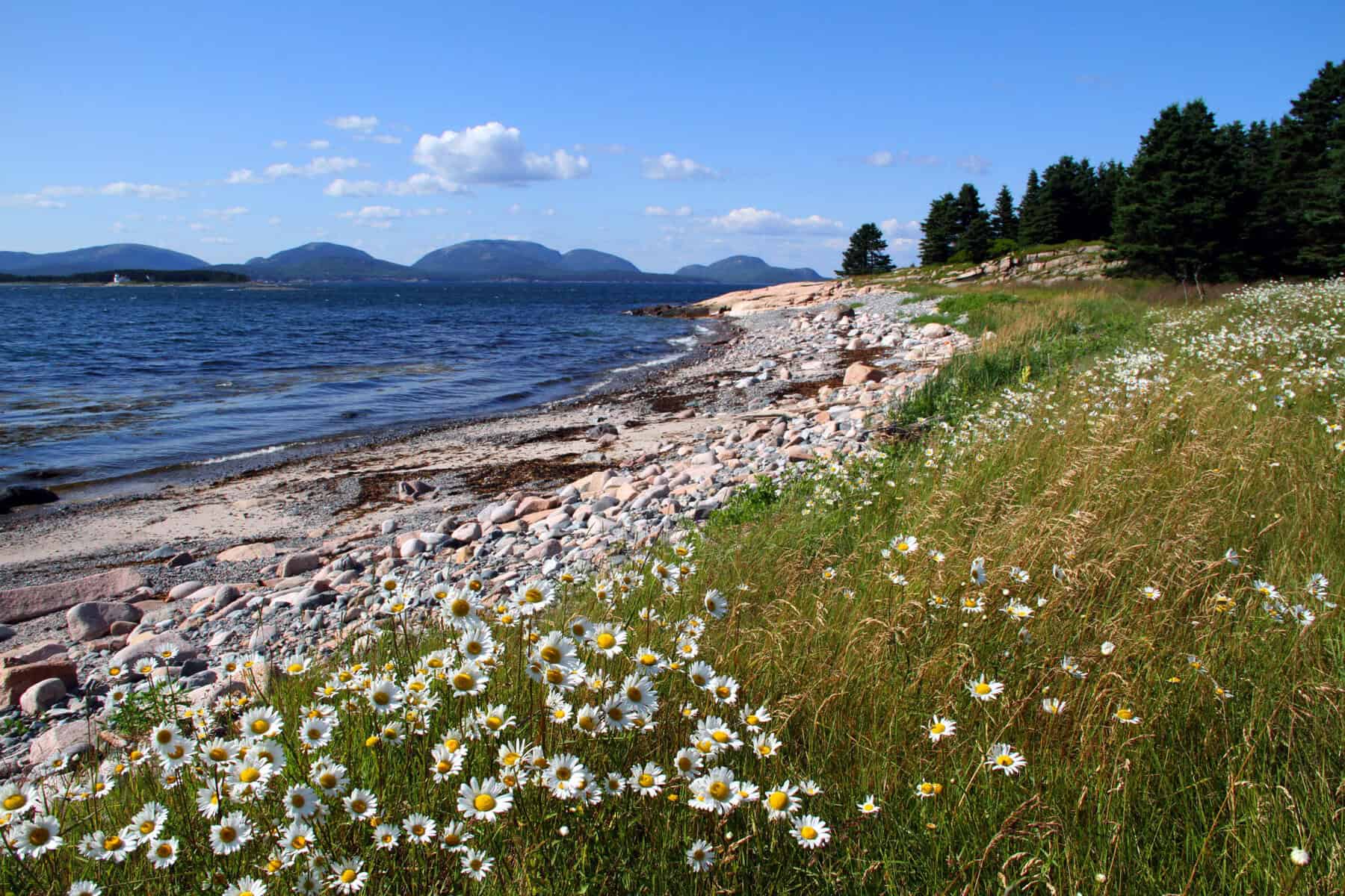 Rocky shoreline and mountains at Bar Harbor, Maine
