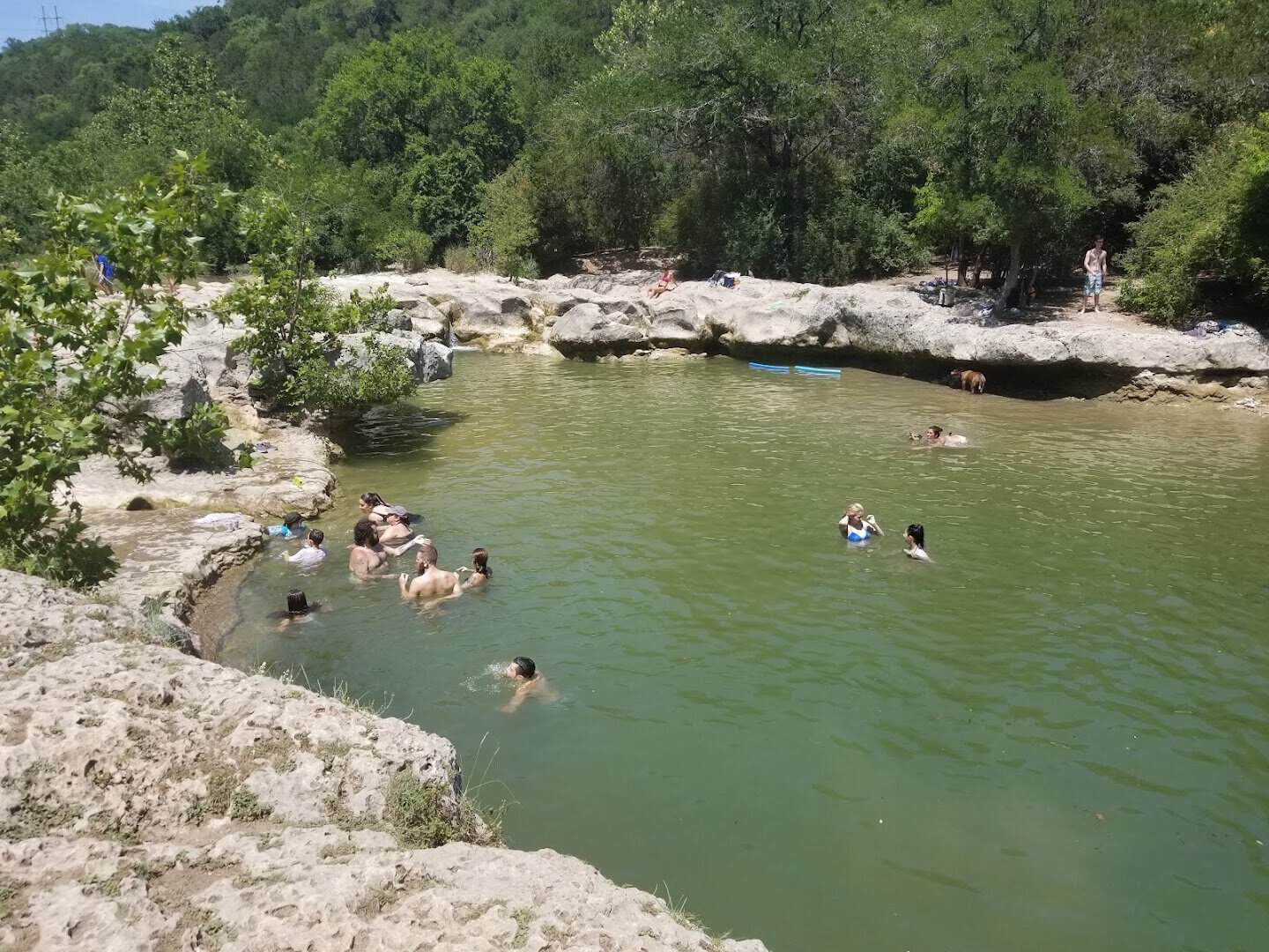 Swimmers cooling off in a green Barton Creek swimming hole in the Austin greenbelt