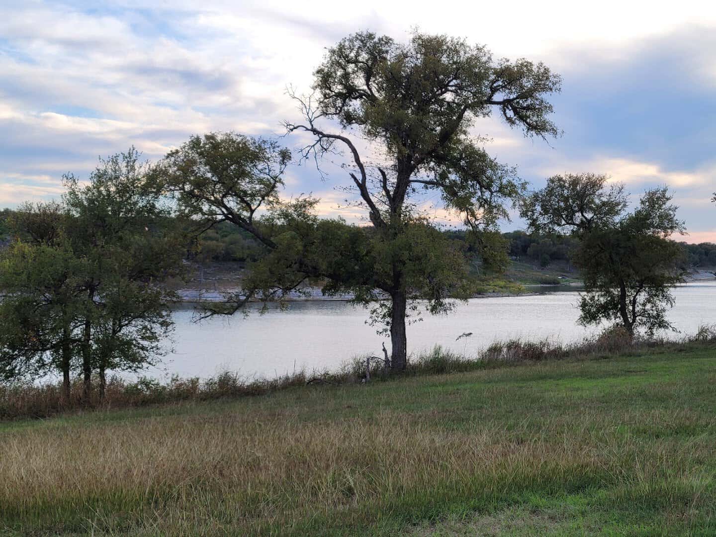 A lone oak on the shore of Belton Lake at dusk